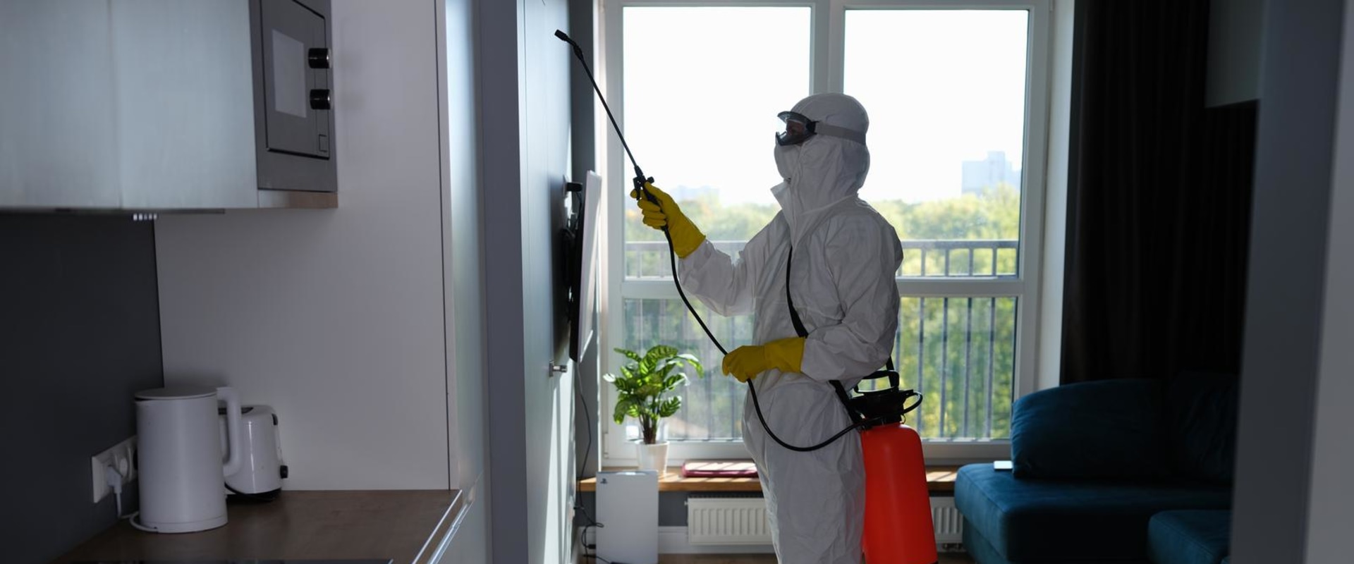 From Infestation To Investment: How Home Sellers Can Benefit From Pest Exterminators Before 
