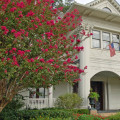 Sell My House For Cash In Dallas-Fort Worth: Why A Cash Buyer Should Be Your Top Choice